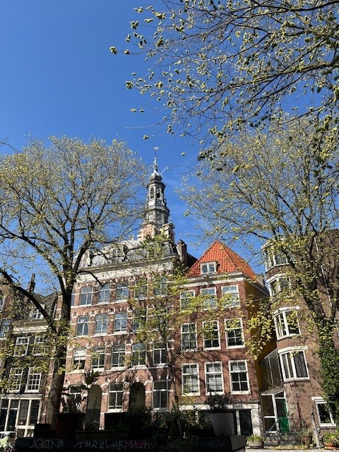 Een rij herenhuizen. Op de voorgrond bomen. Op de achtergrond is de toren van de Zuiderkerk te zien