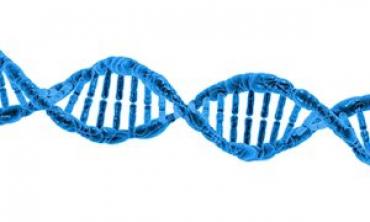 blauwe DNA-spiraal