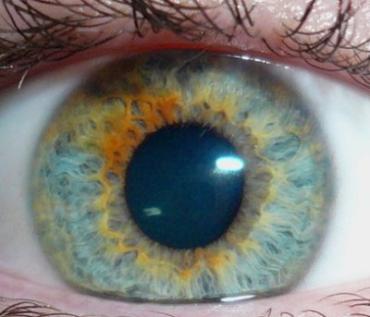 close up van een oog