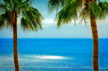 strand, blauwe zee en twee palmbomen