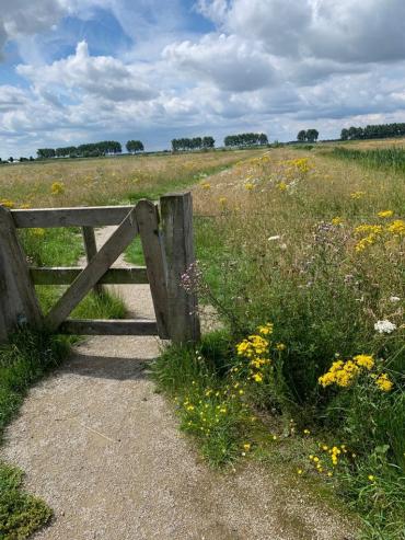 Houten poort in een groen weiland, een verhard pad loopt er doorheen