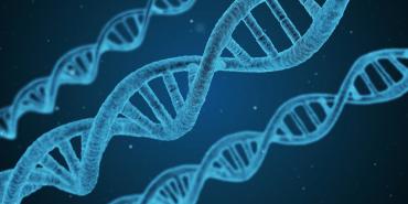 DNA strengen