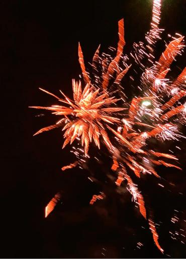Donkere lucht met gekleurde, uitwaaiende 'bloemen' van vuurwerk