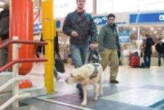 Man met geleidehond die op het punt staat een stationstrap af te lopen