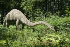 Dinosaurus met lange nek die door een bos loopt