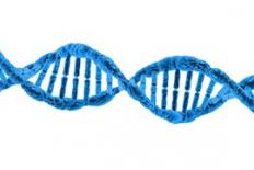 blauwe DNA-spiraal