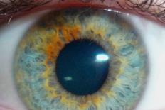 Close-up van een oog