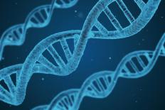DNA strengen